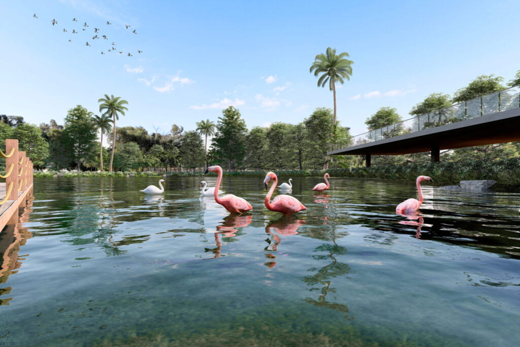 Copia de lago-2